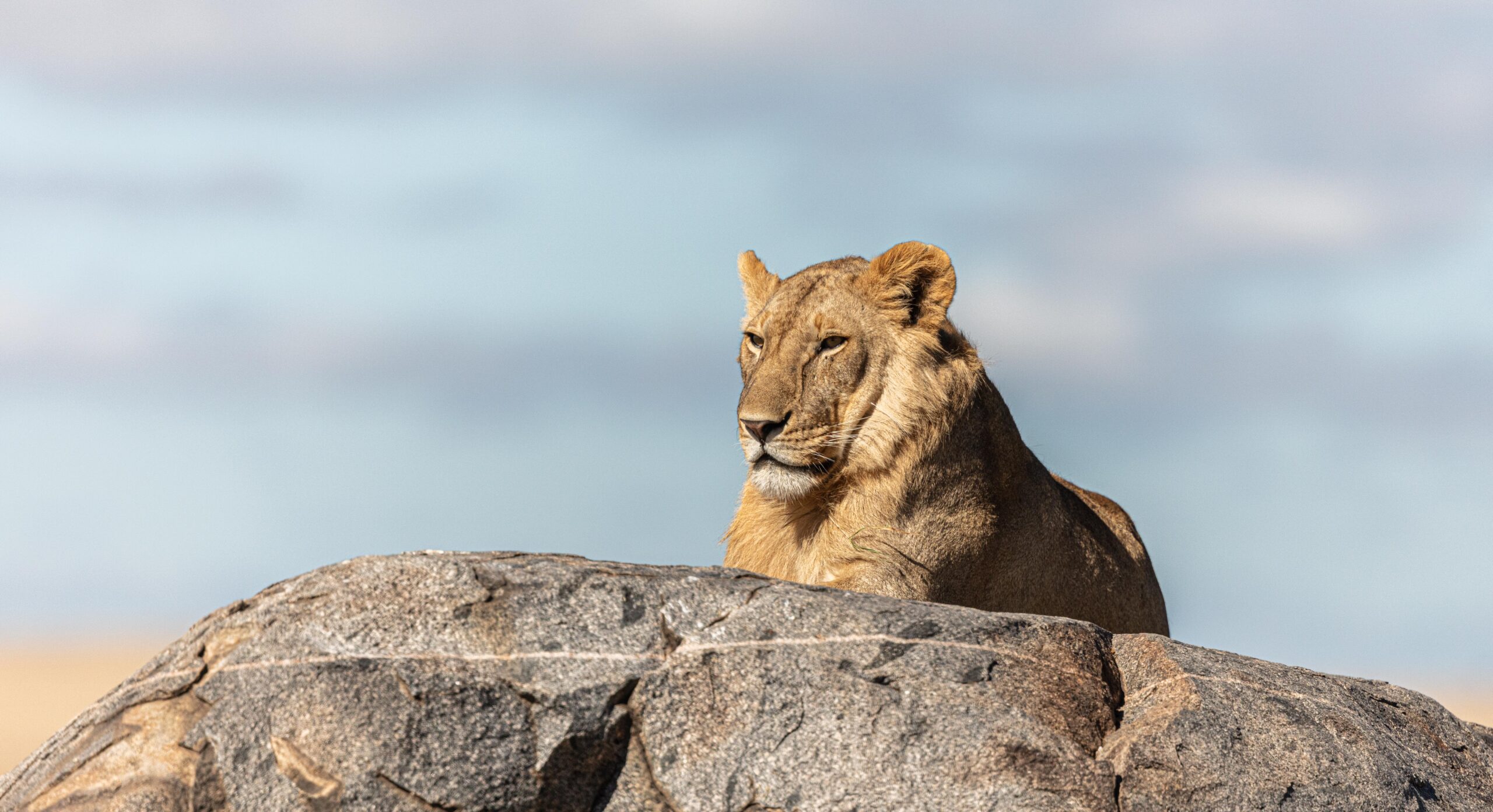 Wildlife 23 – Anders Jorulf