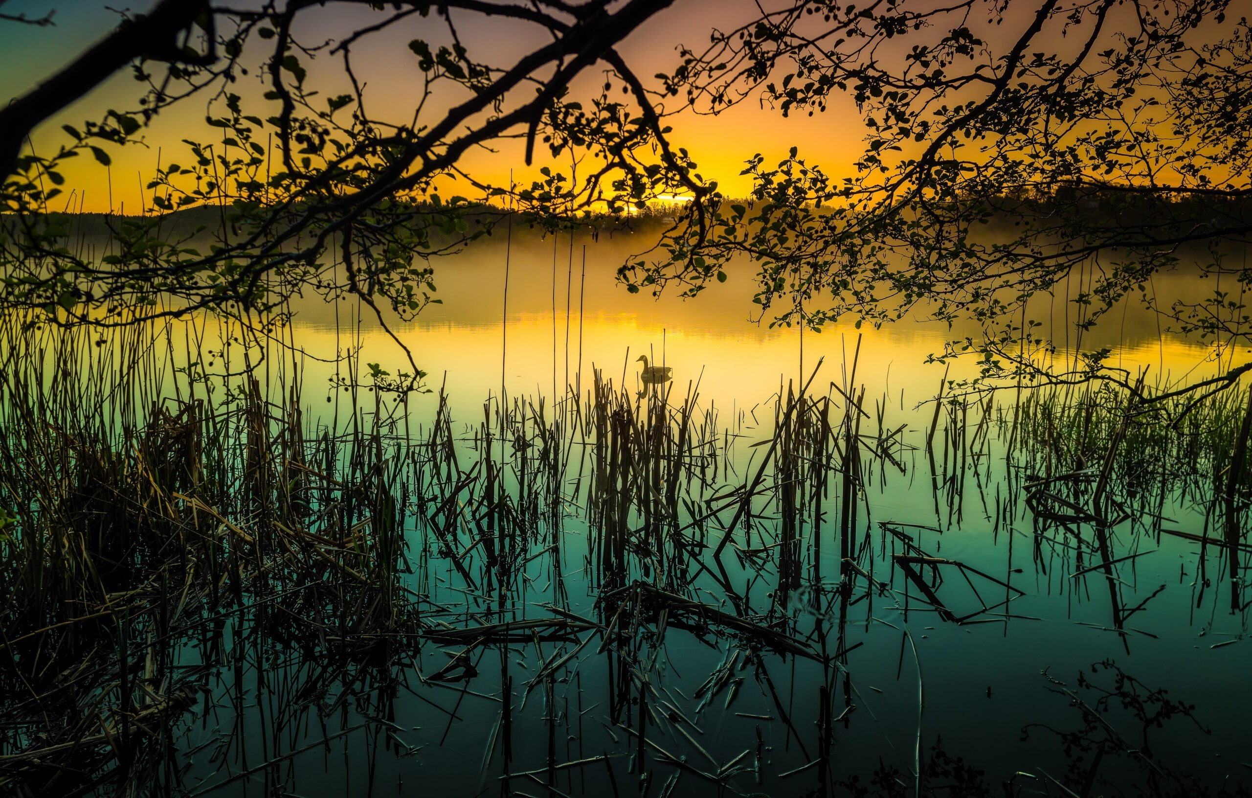 Stockholm, Sverige – Anders Jorulf