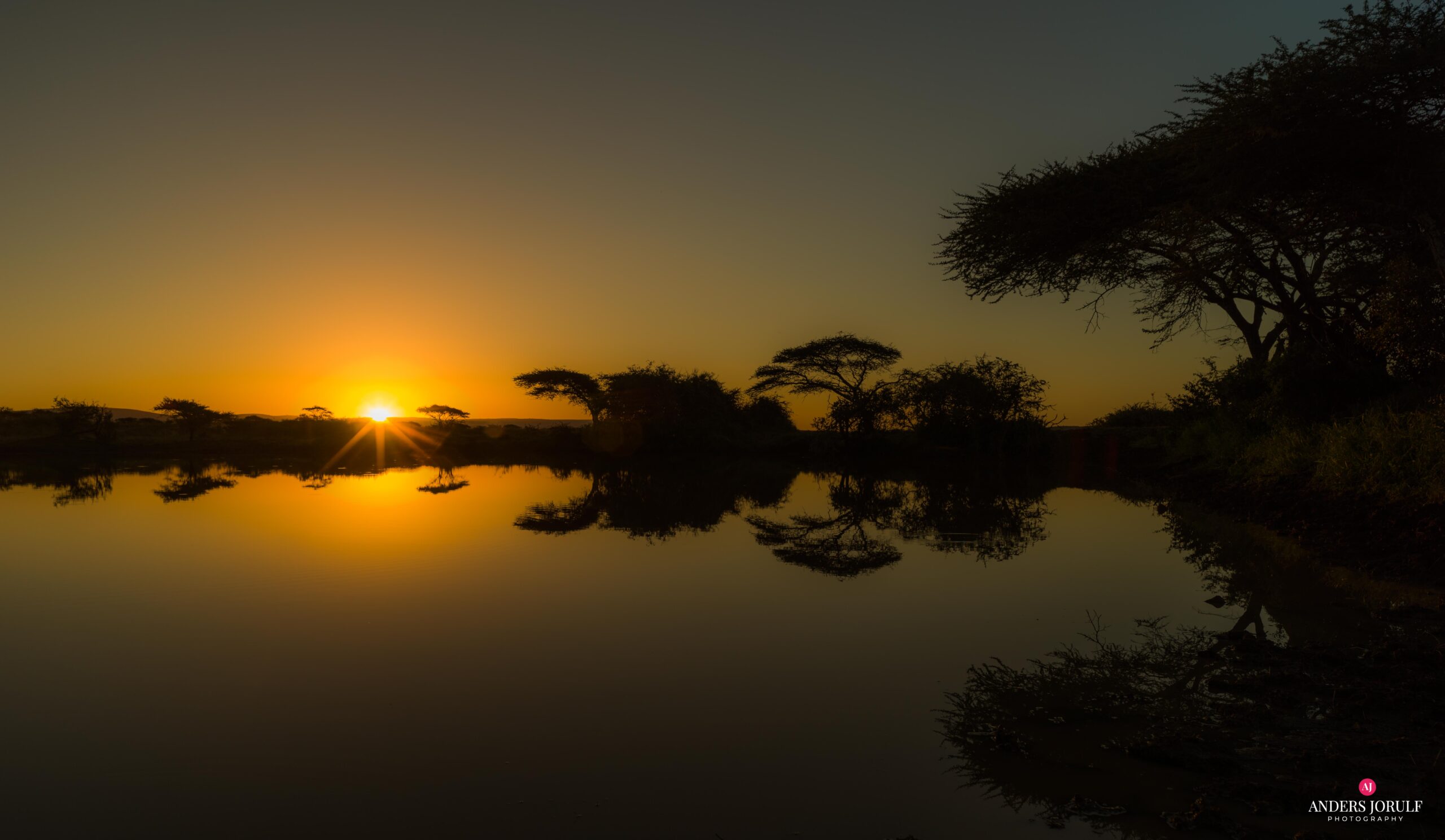 Thanda, Sydafrika – Anders Jorulf